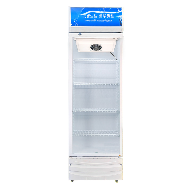 Frost free Beverage cooler